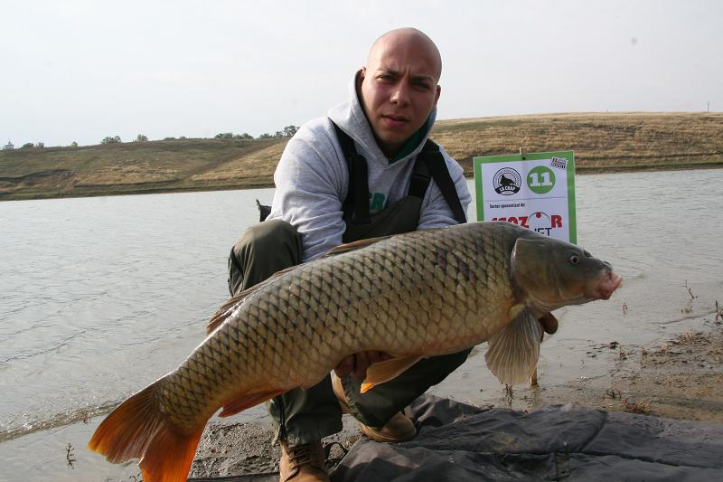 Diverse Partide - sarulesti 1.bmp